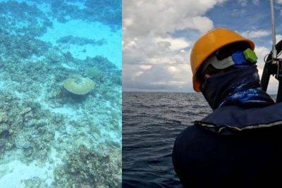 ‘China destroyed 21,000 acres of West Philippine Sea coral reefs’