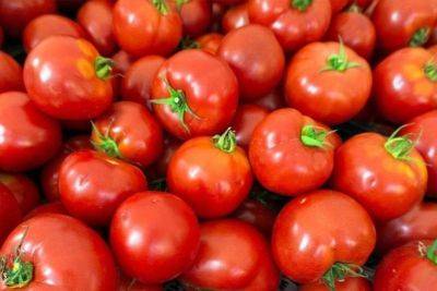 Wholesale price of tomatoes soar