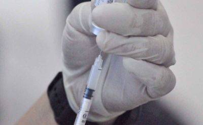 'Time to try vaccines for dengue'