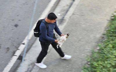 Ian Laqui - Mall security guard faces animal cruelty raps for throwing puppy to death - philstar.com - Philippines - city Santos - city Quezon - city Manila, Philippines