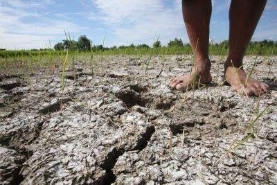 14 provinces reeling from El Niño