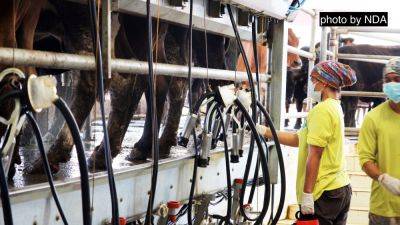 DA plans measures to boost local dairy milk production