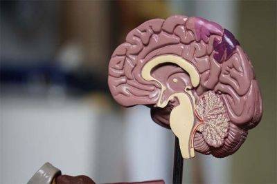 Surging nervous system disorders now top cause of illness — study