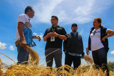 DA, PCO inspect El-Niño affected areas, give more aid to affected farmers in OrMin