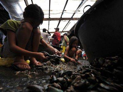 All shellfish, alamang unsafe to eat in 6 areas due to red tide