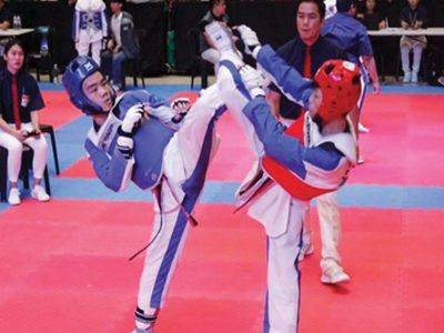 Top taekwondo jins test mettle SMART/MVPSF CPJ national tilt