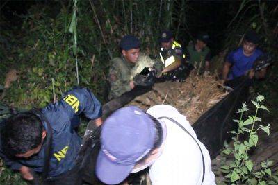 Artemio Dumlao - Multi-million-worth cannabis plantation discovered along Kennon Road in Tuba, Benguet - philstar.com - county Camp - city Baguio