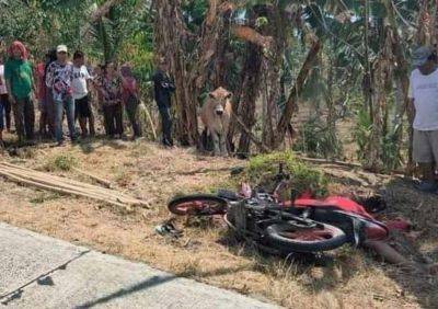 John Unson - Justice - Relatives seek justice for slain rider-on-hire - philstar.com - Philippines - city Cotabato, Philippines