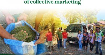 Pangasinan ARBs reap benefits of collective marketing - dar.gov.ph