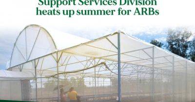 DAR Pangasinan's Support Services Division heats up summer for ARBs - dar.gov.ph