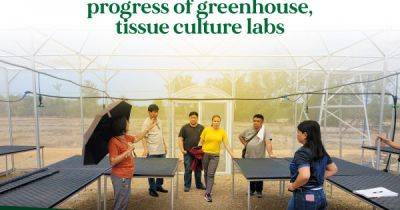 DAR Pangasinan inspects progress of greenhouse, tissue culture labs - dar.gov.ph