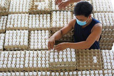 Egg farmers nagbabala: Matinding init ng panahon 'nakakaliit ng itlog' | Pilipino Star Ngayon