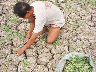 Marcos promises aid to El Niño-hit areas