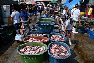 Mangingisda pumalag vs importasyon ng 25,000 MT 'frozen fish' | Pilipino Star Ngayon