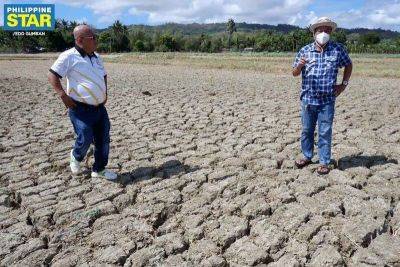 Marcos Jr: Ensure public safety, help farmers amid El Niño