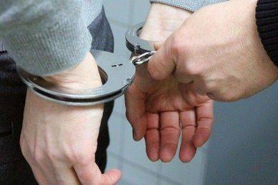 Chinese held for cyber fraud, overstaying