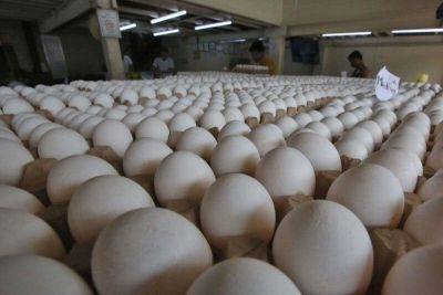 Bella Cariaso - Arnel De-Mesa - Agencies work to include eggs in relief packs - philstar.com - Philippines - city Manila, Philippines