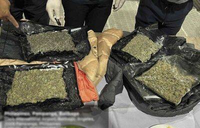 Shipment na idineklarang 'hoodie,' P3.13 milyong halagang marijuana pala | Pilipino Star Ngayon