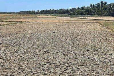 State of calamity in Iloilo due to El Niño
