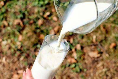 ‘Philippines 2028 milk production target on track’