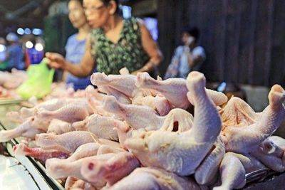 Chicken prices up by P10 per kilo – DA
