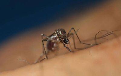 Dengue cases in Region 6 nears 3K mark