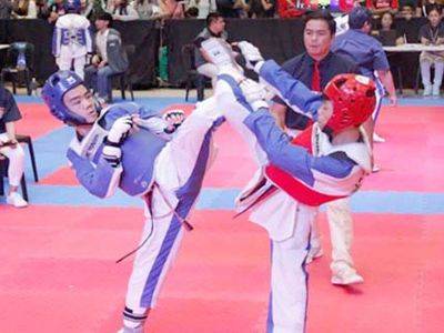 Young jins to strut stuff in Smart/MVP National New Face of the Year Taekwondo joust