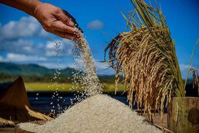Ma Reina Leanne Tolentino - House bill amending Rice Tariffication Law hurdles 3rd reading - manilatimes.net - Philippines - city Manila, Philippines