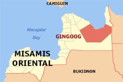 John Unson - Soldiers neutralize 2 senior NPA officials in Misamis Oriental clash - philstar.com - city Cotabato