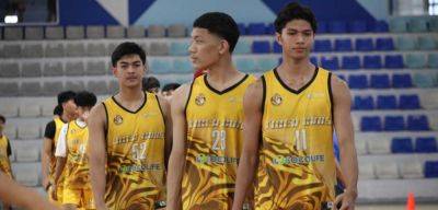 Tiger Cubs sweep foes in PSL NCR Regional Finals - philstar.com - Philippines - city Santo - city Quezon - Jersey - city Manila, Philippines