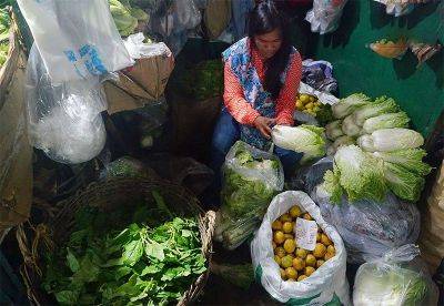 DA official: Vegetable retail prices higher by P5/K