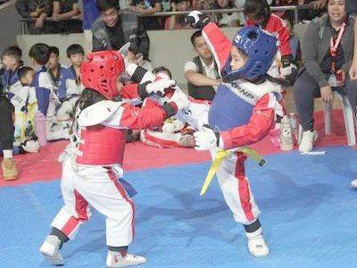 Smart-MVPSF taekwondo summer program slated