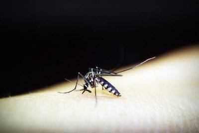 Artemio Dumlao - Influenza, dengue cases up in CAR - philstar.com - city Baguio