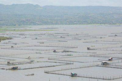 Floating solar project to affect over 800 fishers in Laguna de Bay — group