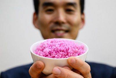 'Meaty rice'? South Korean professor aims to change global protein - philstar.com - South Korea - city Seoul, South Korea