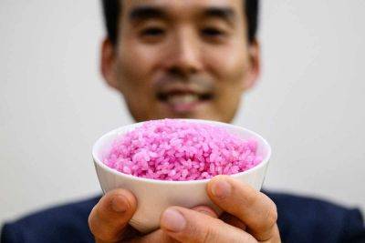 Agence FrancePresse - 'Meaty rice'? Professor aims to change global protein - manilatimes.net - France - South Korea - city Seoul
