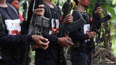 Army rebuffs communist insurgents in Nueva Vizcaya