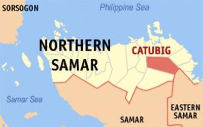 Vicente Lim - Ed Amoroso - 4 rebels slain in Batangas, Northern Samar encounters - philstar.com - Philippines