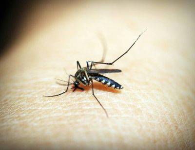 FDA approval on dengue vax, collaboration for zero death urged