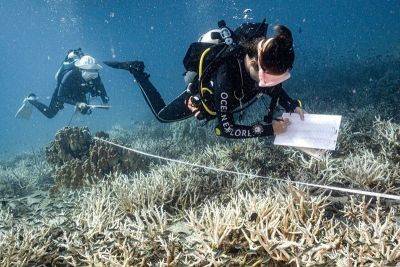 How restoration can help coral reefs - philstar.com - Thailand