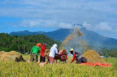Farmers: Rice tariff cut a stab in the back