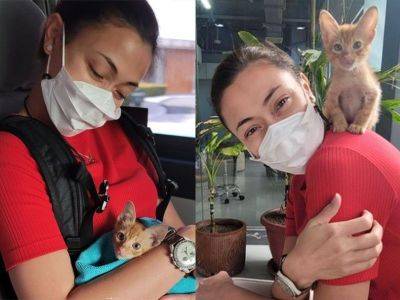 Kathleen A Llemit - Jodi Sta - Jodi Sta. Maria celebrates Naia a year after adopting airport stray cat - philstar.com - Philippines - city Manila, Philippines