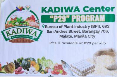 Ferdinand Marcos-Junior - Francisco P.Tiu-Laurel - P29 rice program large-scale trial may include areas outside Luzon by Aug — DA chief - da.gov.ph - Philippines - county Aurora