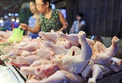 Francisco Tiu Laurel-Junior - Arnel De-Mesa - Tiu Laurel - El Niño - Jasper Emmanuel Arcalas - DA warns overpricing traders amid P250/kilo of chicken - philstar.com - Philippines - Usa - Czech Republic - state Minnesota - city Quezon - county Mesa - city Manila, Philippines