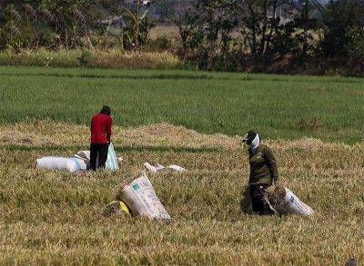 Martin Romualdez - Delon Porcalla - ‘Government aid to farmers, fishers will reduce prices’ - philstar.com - Philippines - Cambodia - city Princesa - city Manila, Philippines