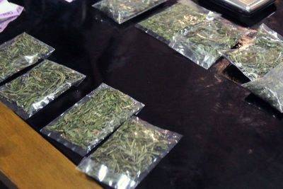 Ed Amoroso - P3.6 million marijuana seized in Cagayan - philstar.com - Philippines - Thailand - city Dasmariñas - city Manila, Philippines