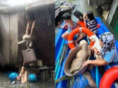 Evelyn Macairan - Dog saver hailed as hero - philstar.com - Philippines - city Manila, Philippines