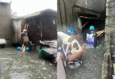 Jan Milo Severo - Gerald Anderson - 'Nobody gets left behind': Manila DRRM shares pets rescued during Typhoon 'Carina' onslaught - philstar.com - Philippines - city Sana - city Manila, Philippines