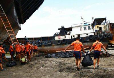 Terra Nova - CLEAN-UP - manilatimes.net - Philippines