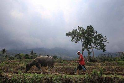 LIVE updates: Kanlaon Volcano restiveness